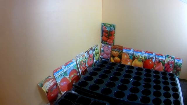 Посев семян томатов.Три способа посеять помидор на рассаду в домашних условиях смотреть онлайн