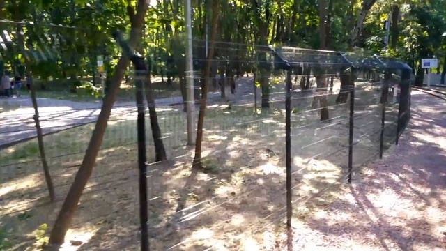 Детская железная дорога - открыта! Реставрация Сырецкого парка в Киеве. 01.06.2019. смотреть онлайн