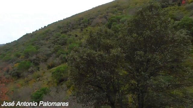 Conociendo Despeñaperros - Capítulo 3 смотреть онлайн