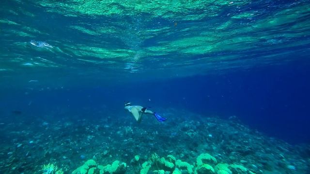 Моменты отдыха в PICKALBATROS PORTOFINO MARSA ALAM / Villagio / Vita / Egypt / Египет #egypt #египет смотреть онлайн