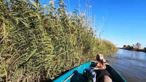 Рыбалка в Астрахани! БЕЗ своей Алюминиевой лодки Альпина GT400! Камызяк Каралат Турбаза Волчок