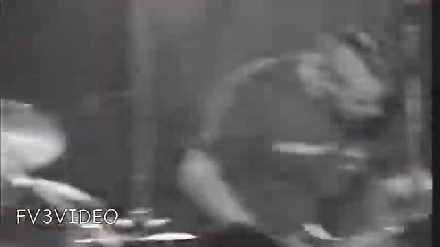 DOCTURA White Rabbit смотреть онлайн