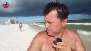 Бедная Алабама !  А я бы там жил !!!