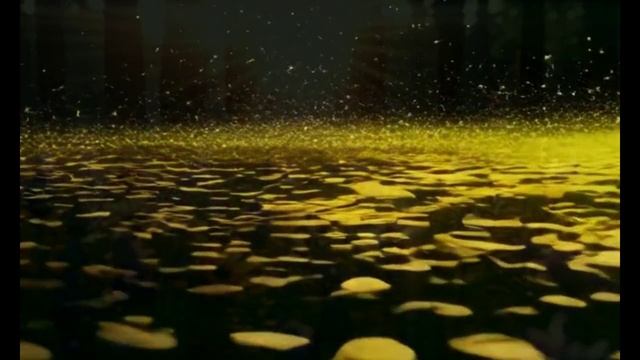 Блеск, красота_Музыкальные истории смотреть онлайн