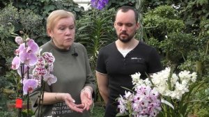 Уход за орхидеями.