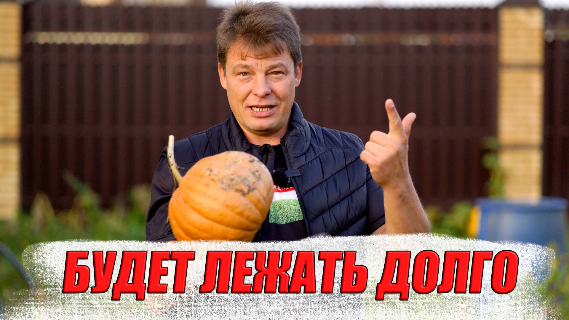 Долежит до следующего года. Как собрать тыкву на хранение две типичные ошибки при уборке тыквы смотреть онлайн