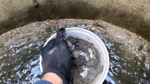 Герметизация швов колодца