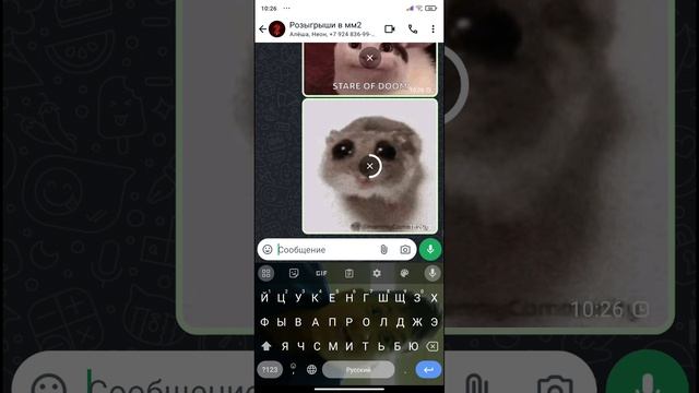 Vidma_recorder_04102024_102453.mp4