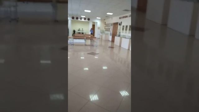 орнитоптер3 смотреть онлайн