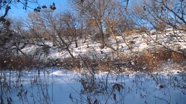 САМВЕЛ АДАМЯН КОРМИТ КОТА ОПАСНЫМ КОРМОМ. БИЗНЕС С GRANDENIKO