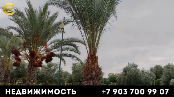 Nort Cypr Legat Business Group