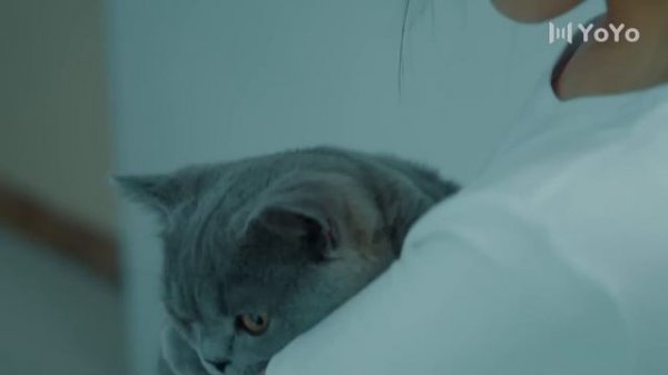 Моя милая 10 серия（русская озвучка)|Silent love,喵不可言（Дин Цзя Вэнь, Цзи Мэй Хань）