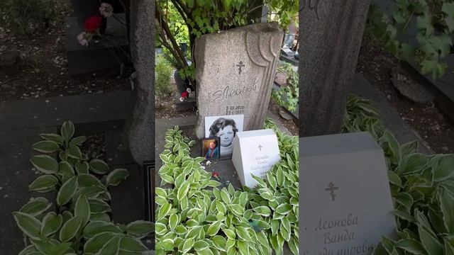 Броневой, Леонов, Самойлова🪦#shots #кино #театр #искусство смотреть онлайн