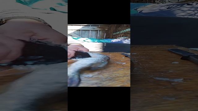 Как и чем, очень быстро, почистить щуку