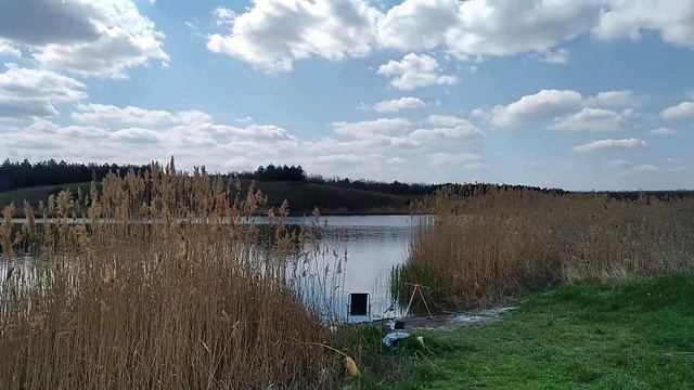водоём Дахно🎣 смотреть онлайн