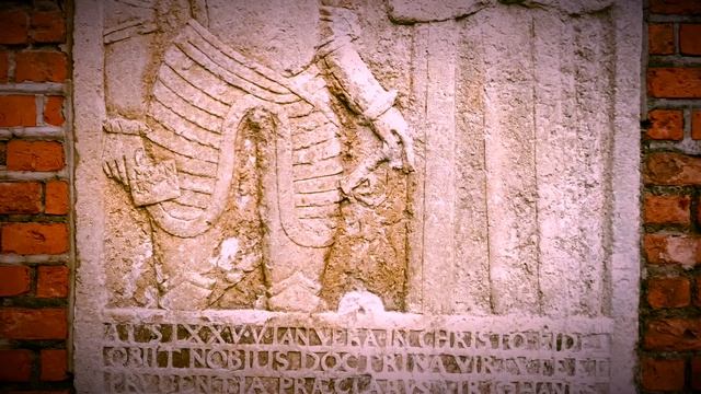 Königsberg Cathedral, Kaliningrad, Russia смотреть онлайн