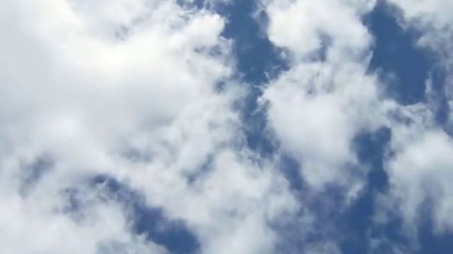 MVI 2038 смотреть онлайн