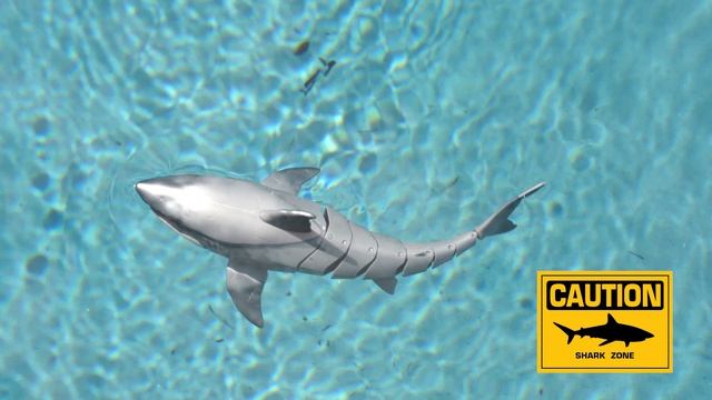 71126_ROBO ALIVE_GREAT WHITE SHARK_DEMO_MASTER смотреть онлайн