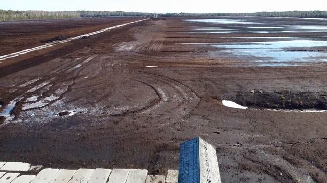 Природная тропа на Ценском болоте / Cenas tīreļa laipu taka смотреть онлайн