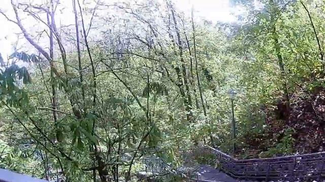 КАНЕВ. ПЕРЕЯСЛАВ ХМЕЛЬНИЦКИЙ смотреть онлайн