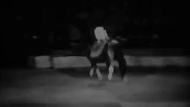 Акробаты с верблюдами Кадыр Гулям смотреть онлайн