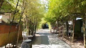 Впервые на Пхи Пхи, что посмотреть куда пойти.