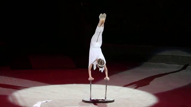 Тюменский Цирк - Золотая Арена 2014 смотреть онлайн