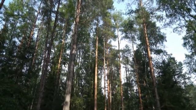 Алла Богач (Малахова) "Зачарованная даль" смотреть онлайн