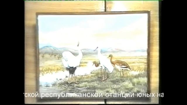 Б.Н.Андреев - киноархив смотреть онлайн