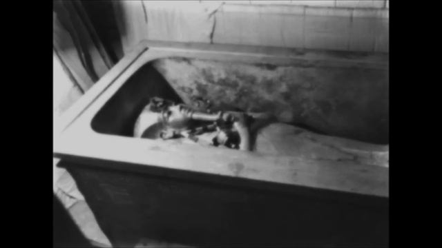 Calm gothic - Тутанхамон - Tutankhamun смотреть онлайн