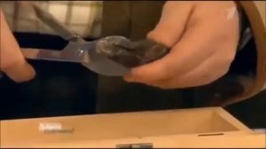 Применение бобровой струи.