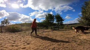 Как отучить собаку прыгать на хозяина. Игнорировать собаку!