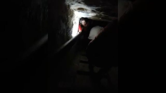 Гробница мамы тутанхамона смотреть онлайн