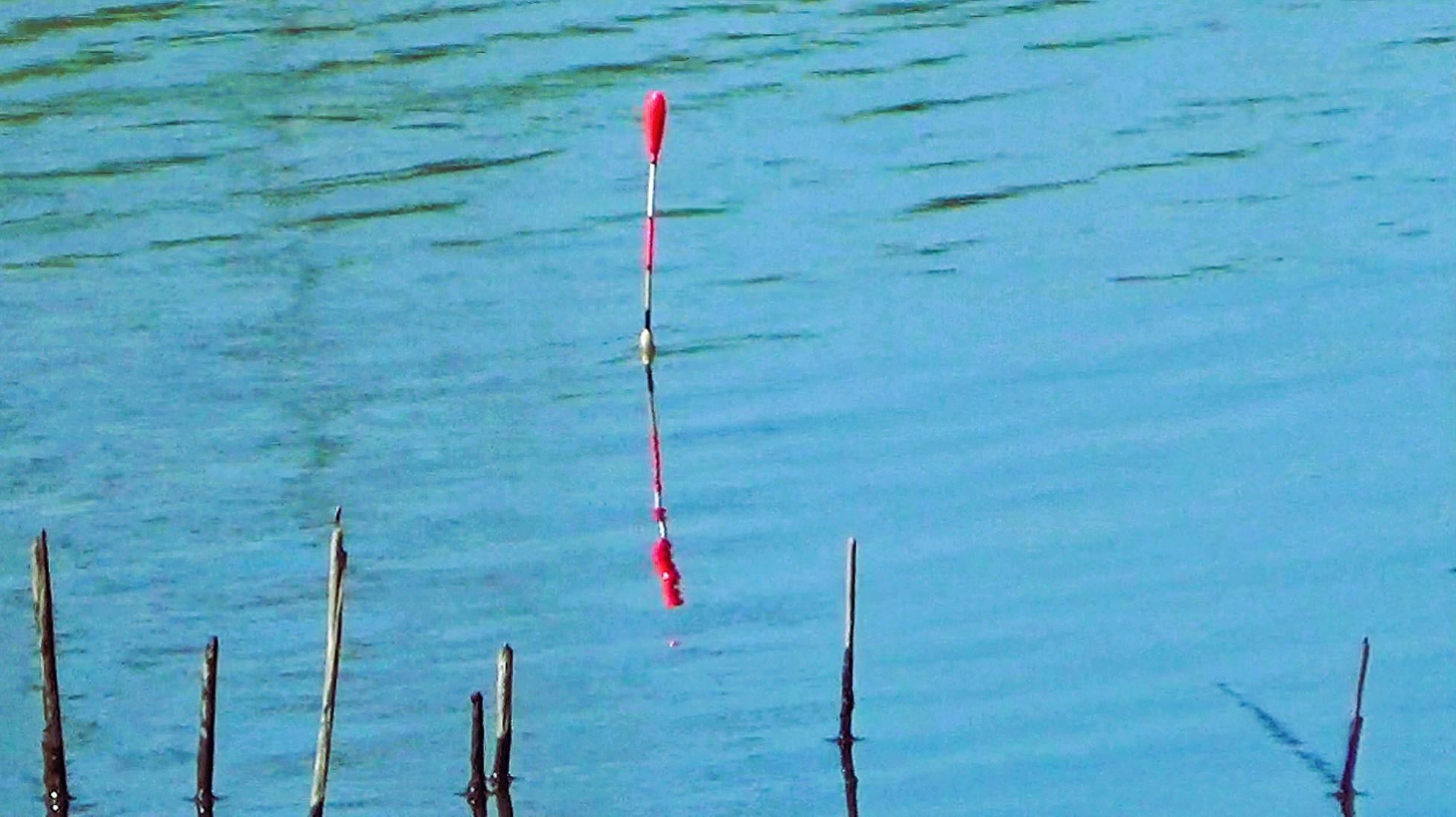 Как поймать крупного карася в мелком пруду. Показываю на месте