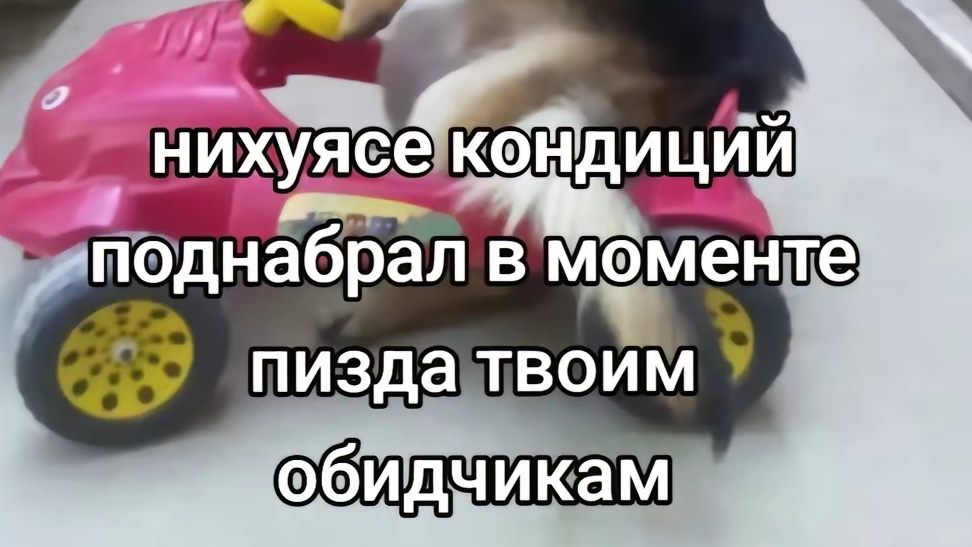 играют КС 2 смотреть онлайн