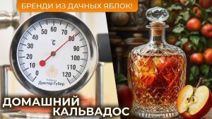 Яблочный бренди || Рецепт домашнего кальвадоса