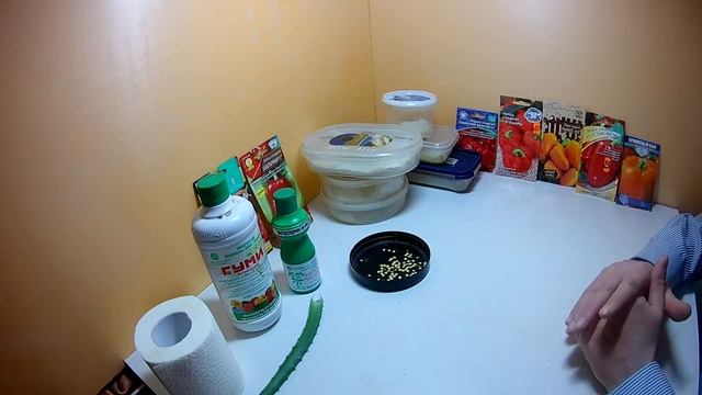 Посев семян перца на рассаду от А до Я.Как получить здоровую и крепкую рассаду сладкого перца смотреть онлайн