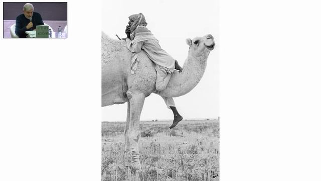 Презентация книги " Краткая история цивилизации" смотреть онлайн