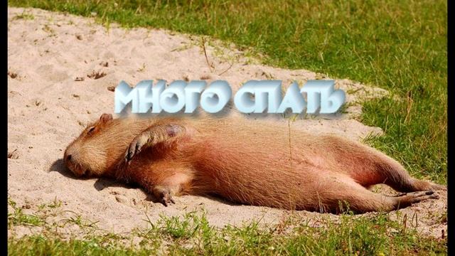 реклама смотреть онлайн
