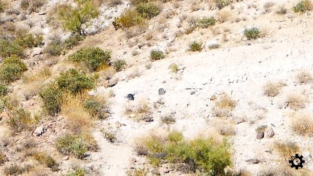 M855A1 vs Steel Armor смотреть онлайн