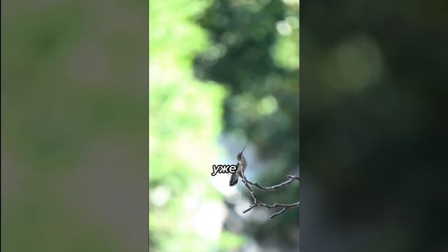 ВРЕМЯ ЖИЗНИ смотреть онлайн