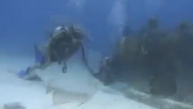 SCUBA CANCUN.UnderWater Museum
