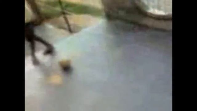 mundrongo levando drible sensacional смотреть онлайн