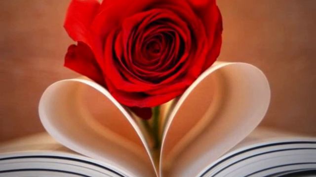 Sakladım seni herkesten смотреть онлайн