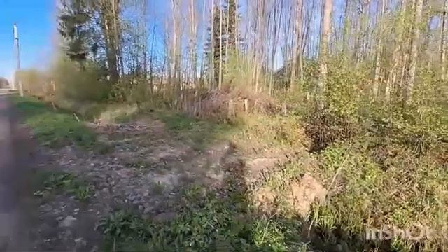 Участок с елями 20 соток | СНТ "Русь" смотреть онлайн