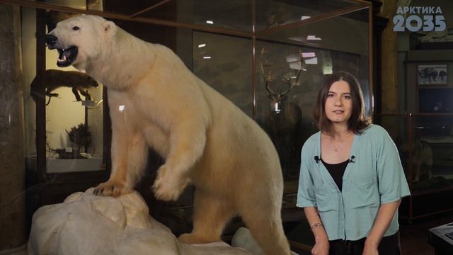 Когда медведь не хозяин Арктики смотреть онлайн