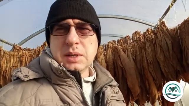 Выпуск #19 Ответы на вопросы. #табак смотреть онлайн