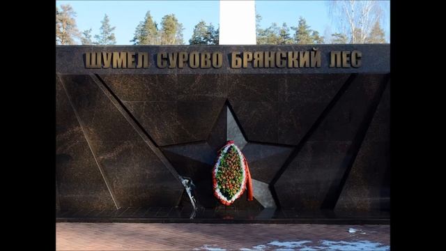 Флешмоб "Шумел сурово Брянский лес". Исполняет Соин Владимир смотреть онлайн