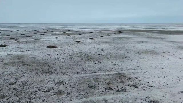 День 4. Решили брать 20 тонн! смотреть онлайн