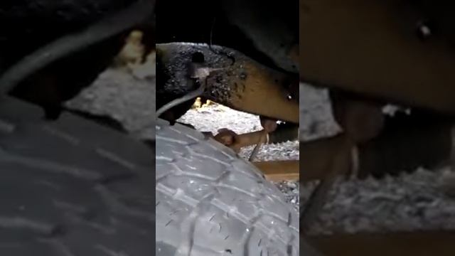 Por15 review смотреть онлайн